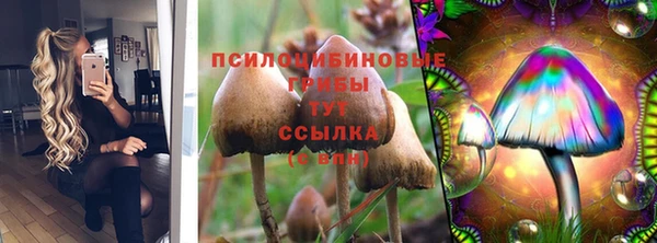 ПСИЛОЦИБИНОВЫЕ ГРИБЫ Алзамай