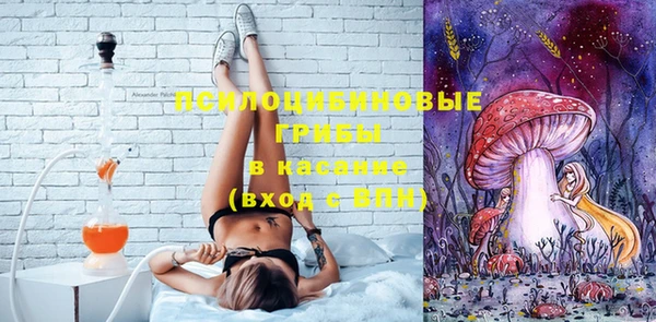 ПСИЛОЦИБИНОВЫЕ ГРИБЫ Алзамай